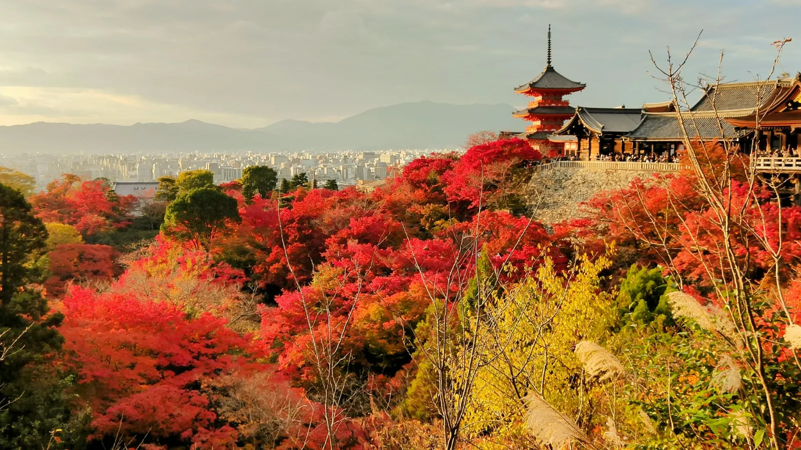 Colori autunno Giappone