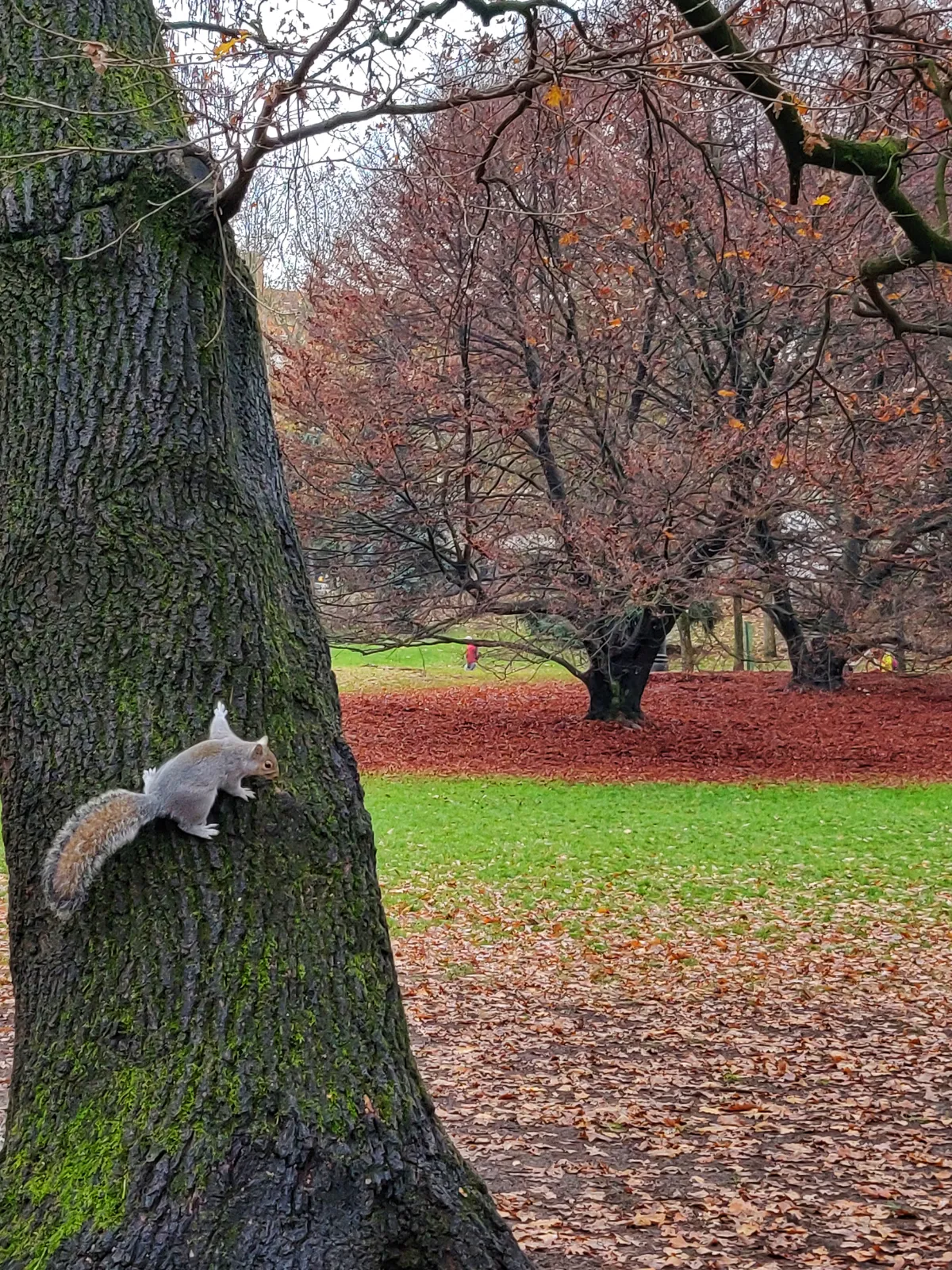 Parco del Valentino in autunno