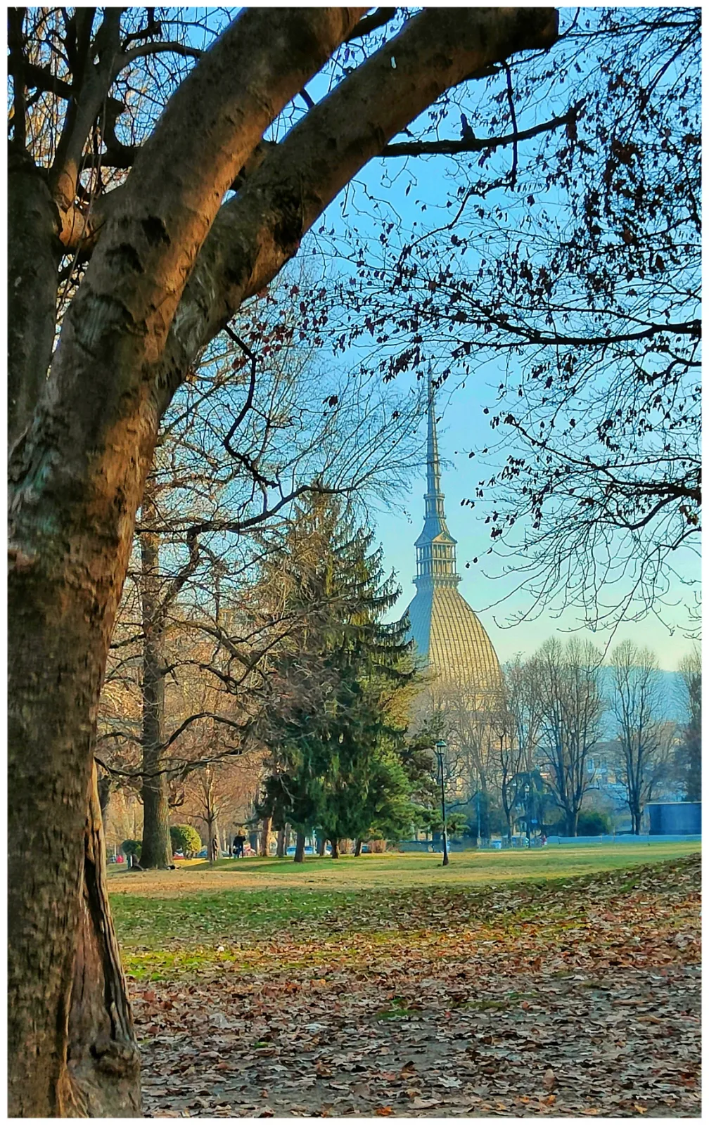La Mole Antonelliana