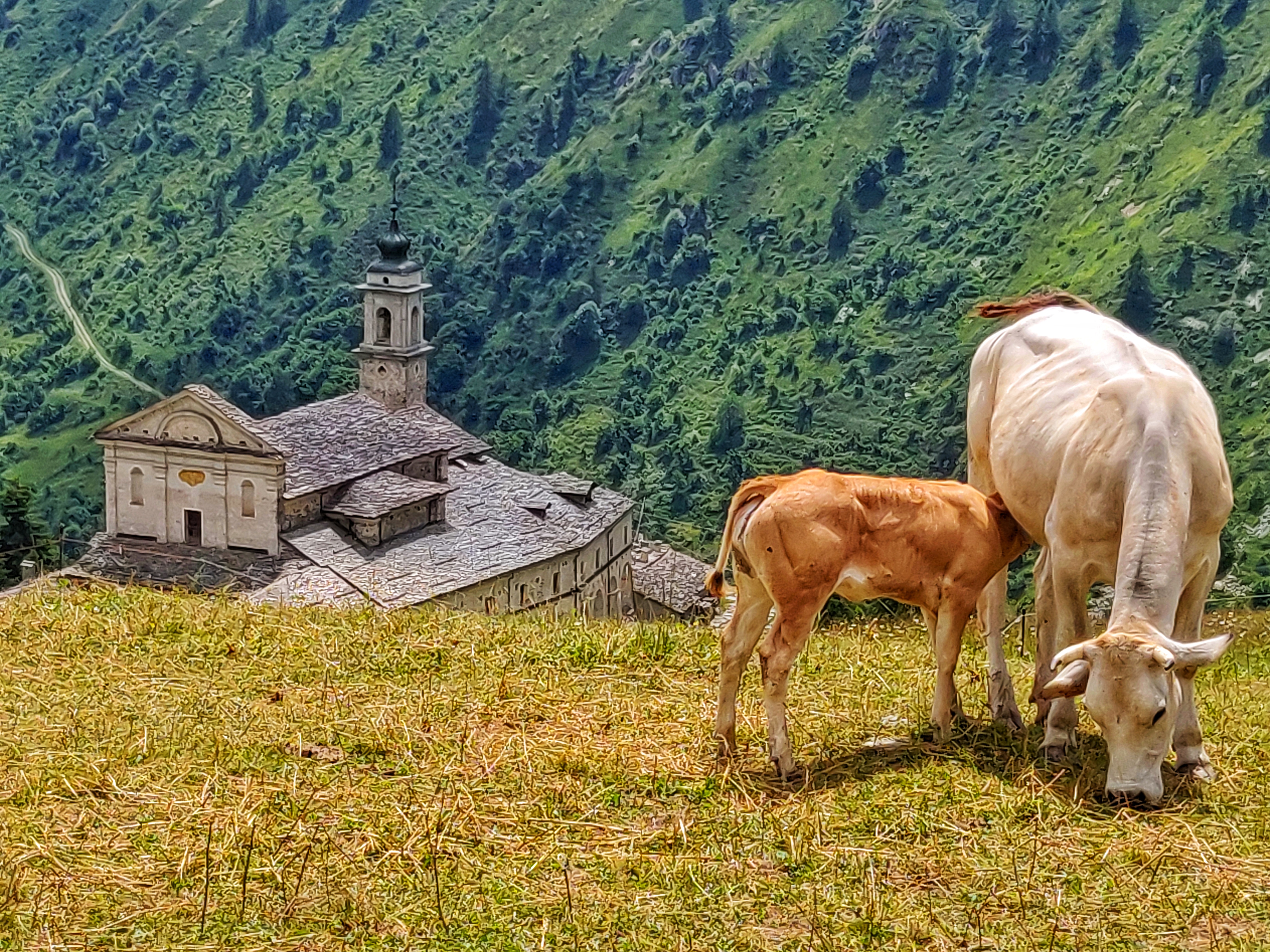 Weekend romantico e sportivo a Castelmagno: due giorni tra santuari, crinali e stelle in Valgrana
