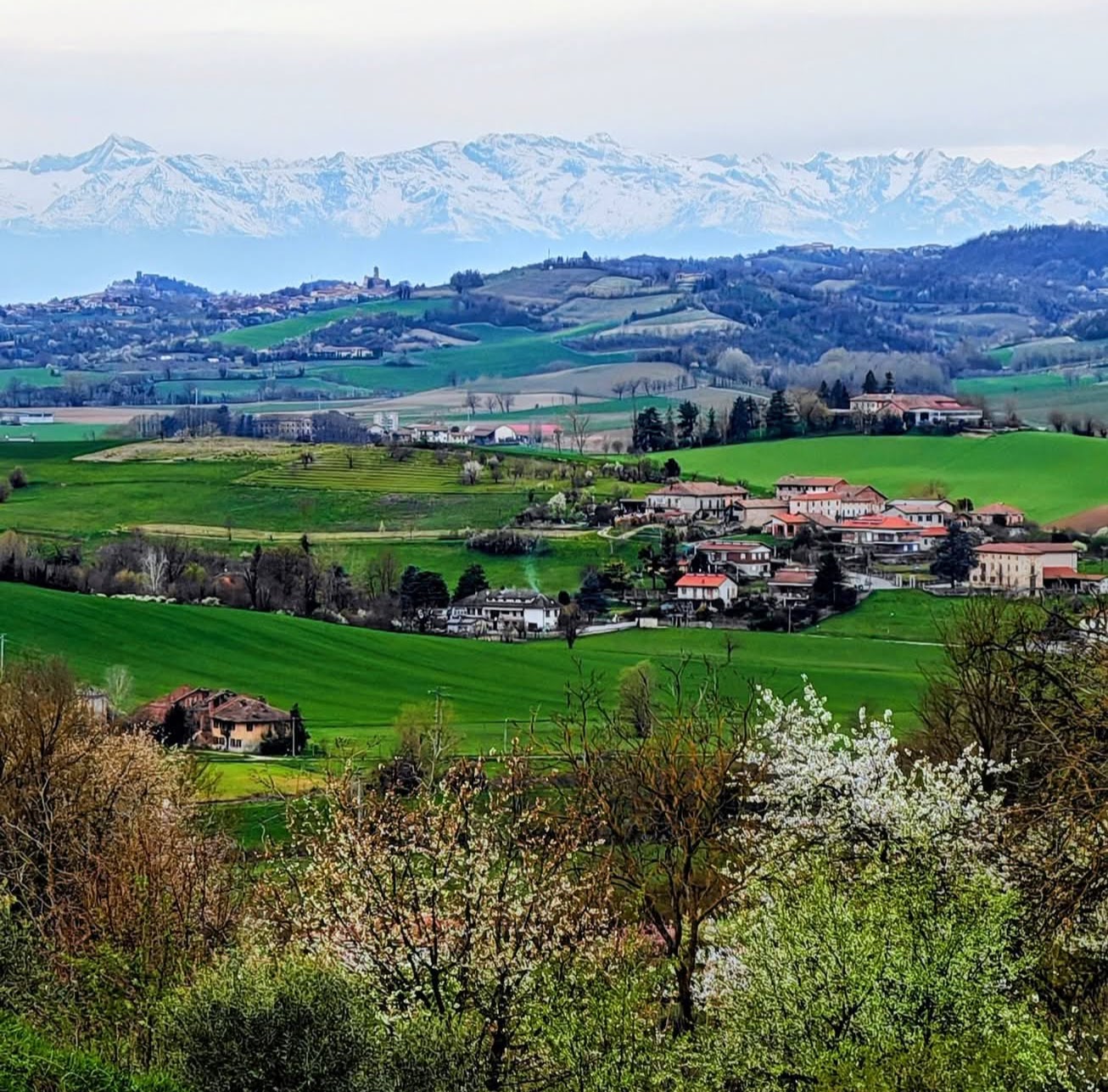 9 km tra vigneti, panorami aperti e uno dei castelli più suggestivi del Piemonte. Scopri l'itinerario completo.