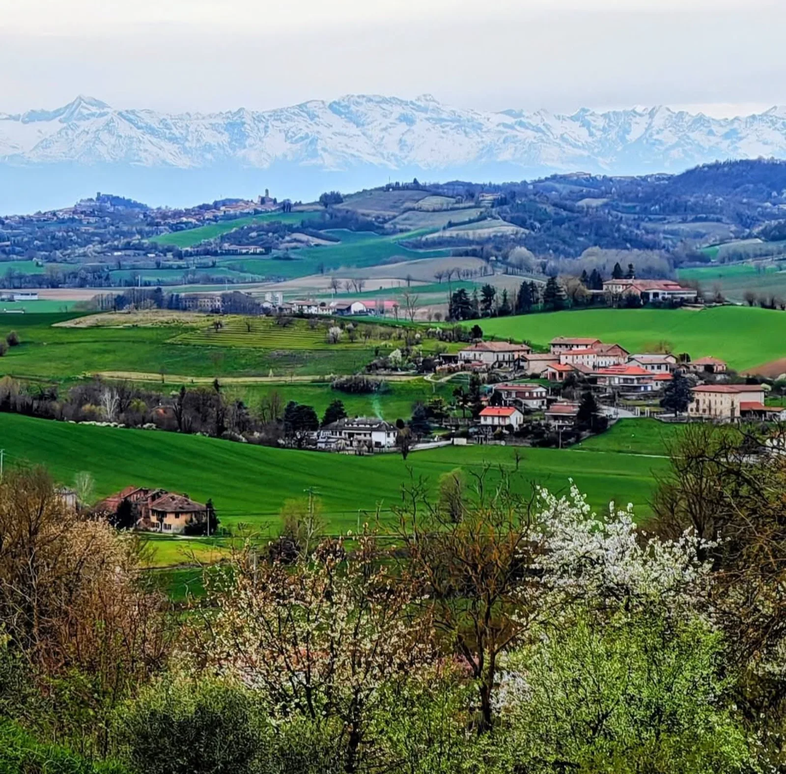 Panorama sulle Alpi dalle campagne monferrine