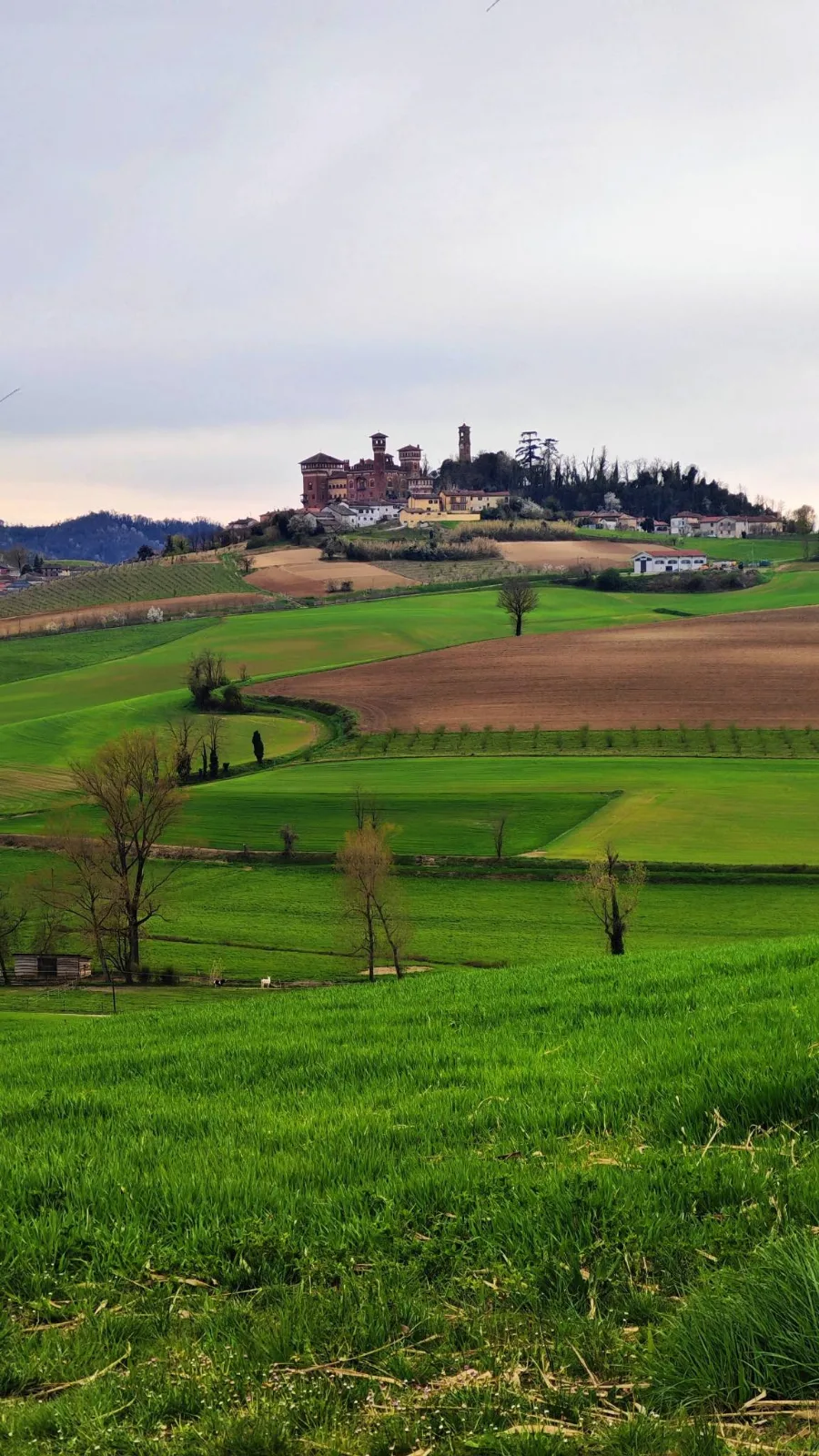 Le sfumature di verde del Monferrato lungo il percorso