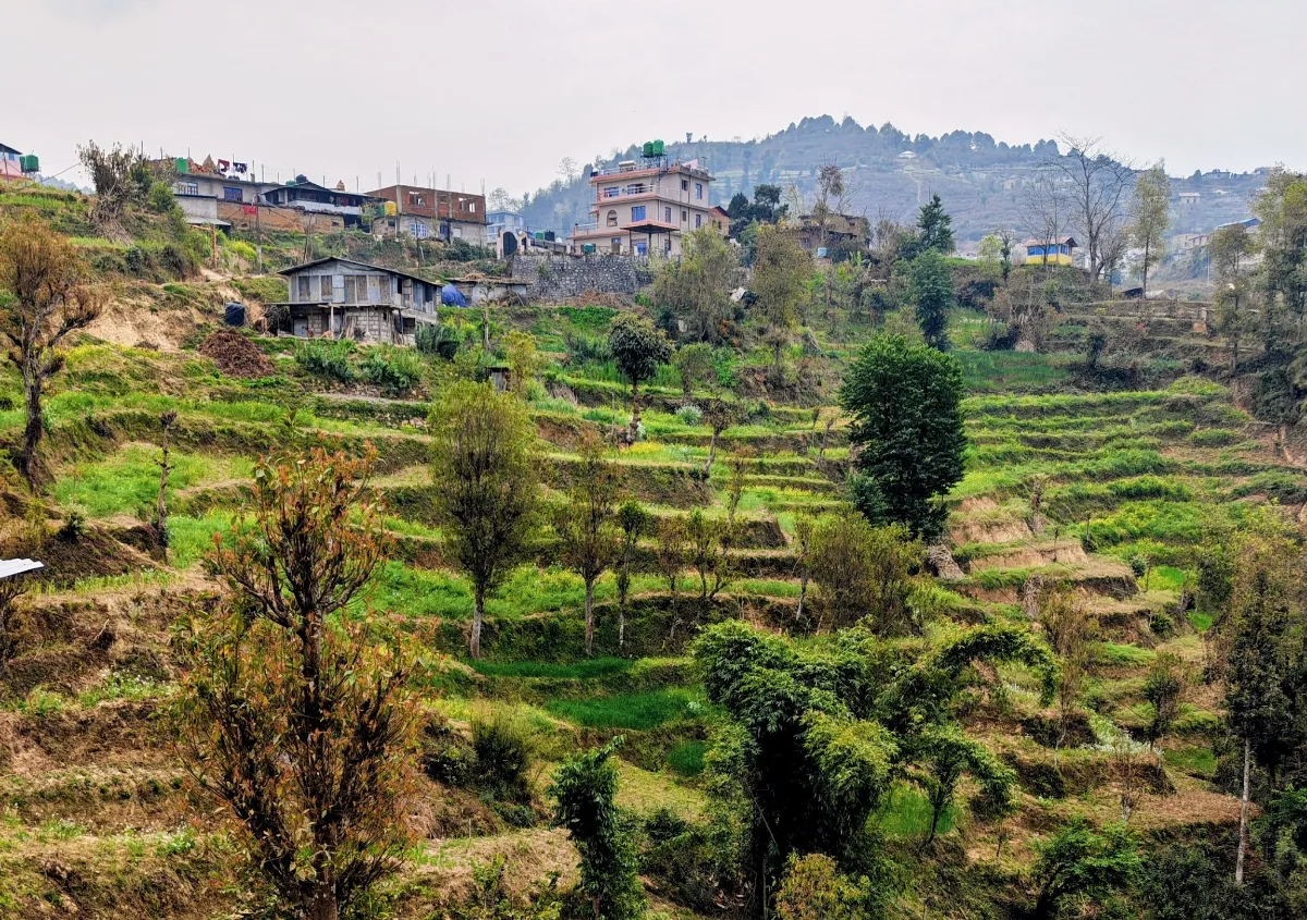 Vista su terrazzamenti agricoli