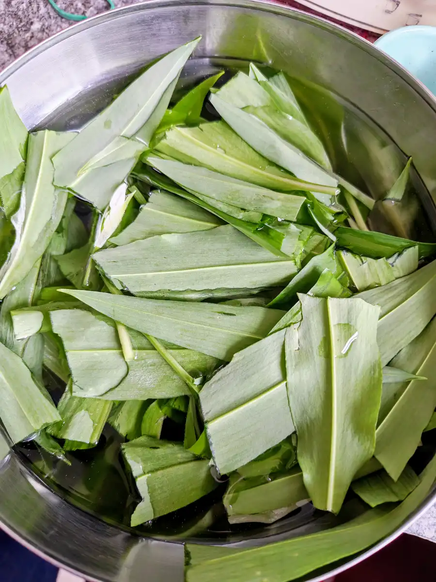 Foglie di aglio orsino