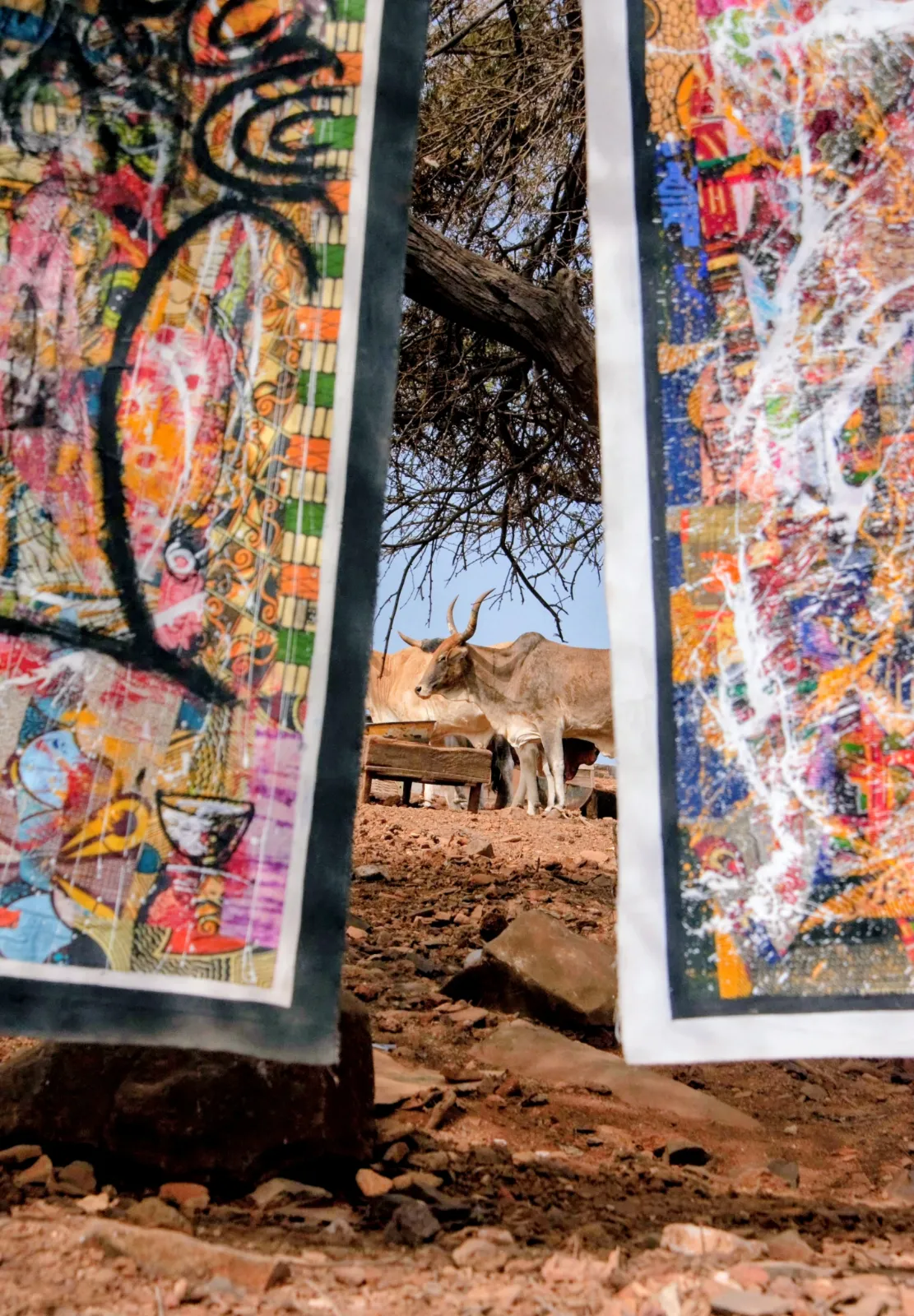 I colori del Senegal