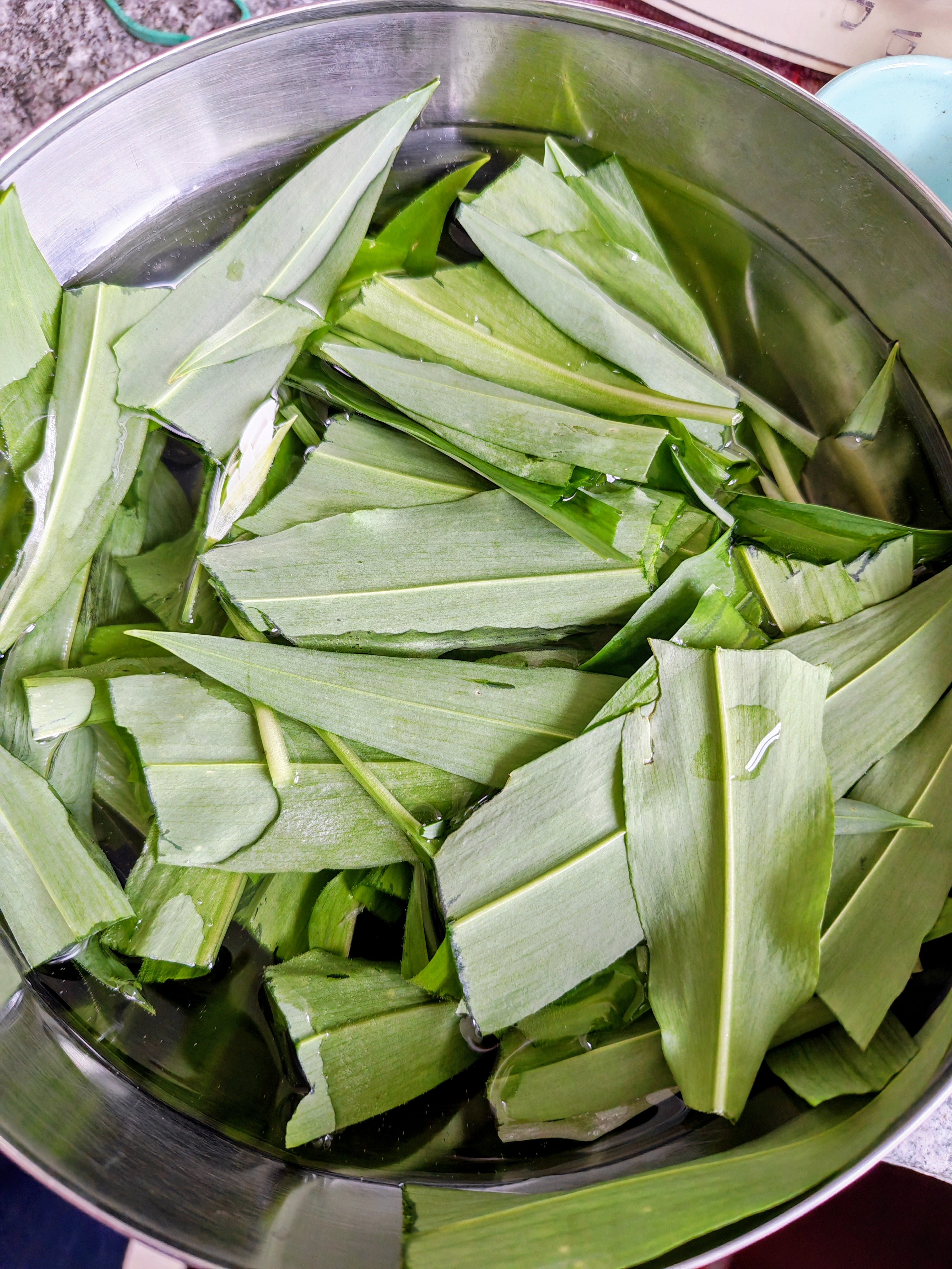 Foglie di aglio orsino